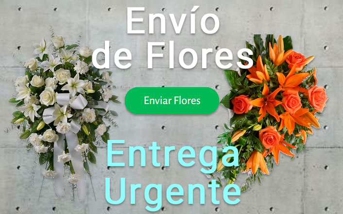 Envio flores difunto urgente a Tanatorio Palencia